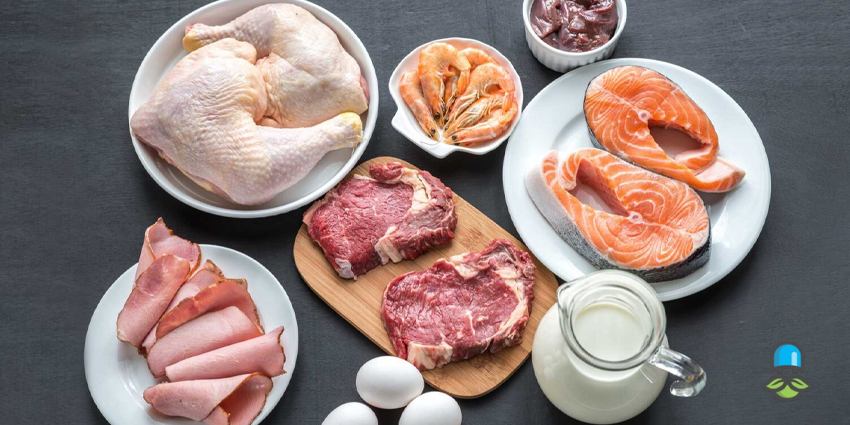 چه کسانی باید از رژیم پروتئینی دوکان دوری کنند؟