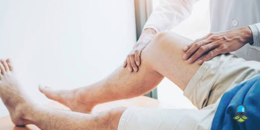 گلوکزامین (Glucosamine) چیست؟