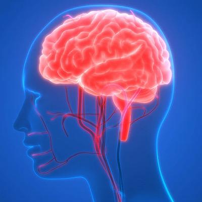 علائم نرسیدن خون به مغز چیست؟  از سرگیجه تا سکته مغزی
