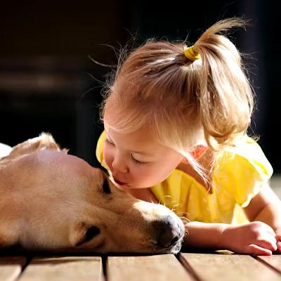 خطر نگهداری حیوانات خانگی برای همه