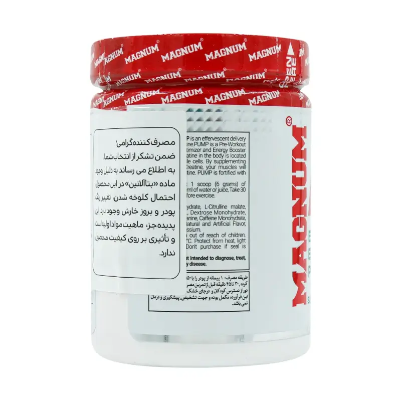پودر پمپ مگنوم طعم فروت پانچ 600 گرمی