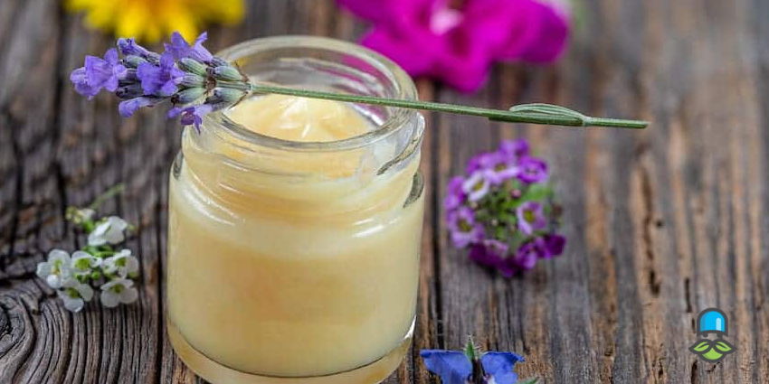 ژل رویال چیست و چگونه تولید میشود؟