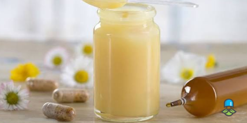 بررسی مهمترین خواص ژل رویال برای زنان