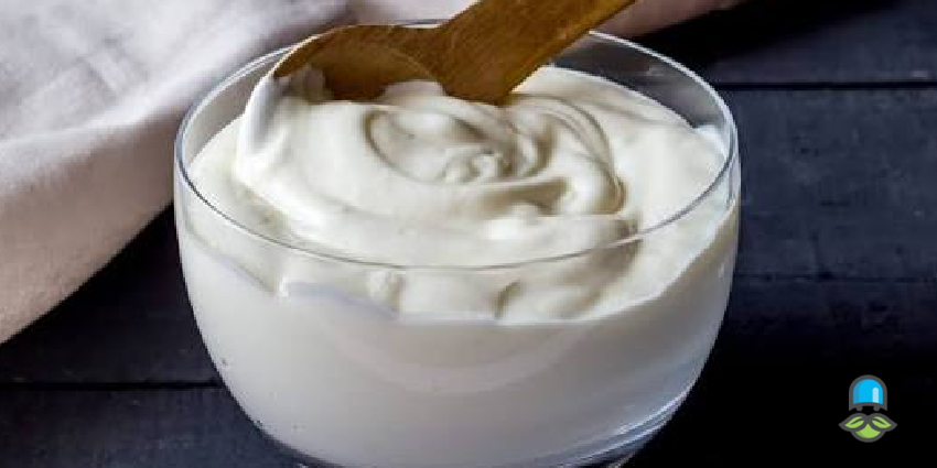 میزان کالری ماست یونانی 