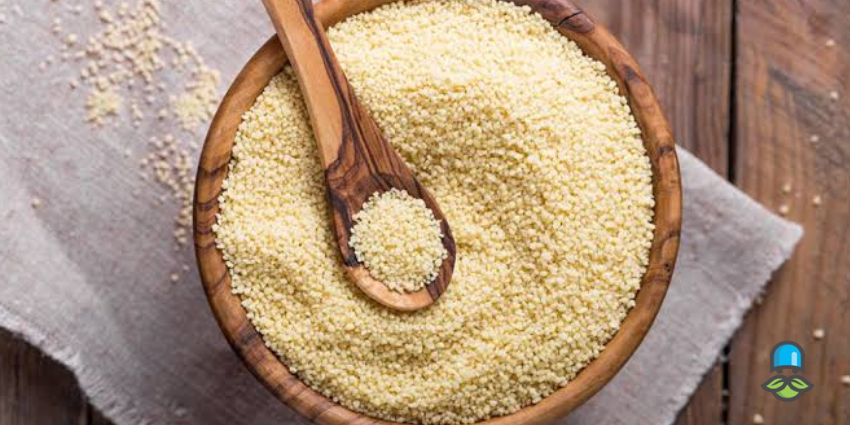جوانه گندم چیست؟ 