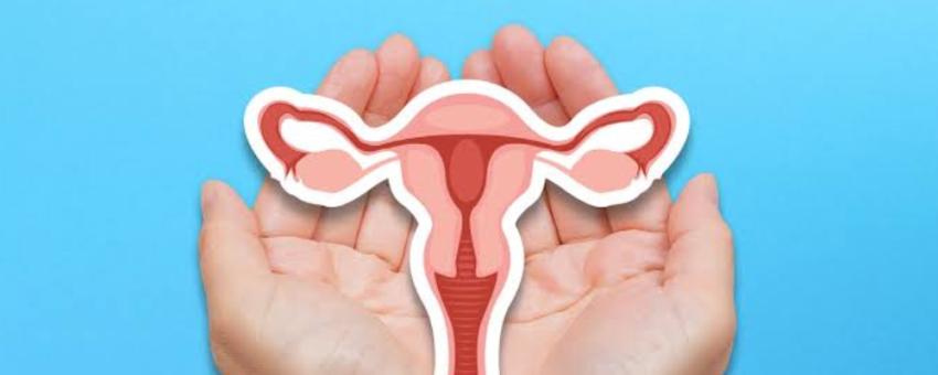 سندرم تخمدان پلی کیستیک (PCOS): هر آنچه باید بدانید