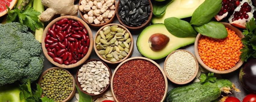 رژیم میکروبیوم چیست و چه ویژگی هایی دارد؟