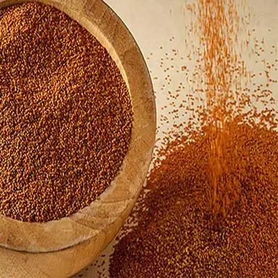 همه چیز درباره خواص خاکشیر برای بدن